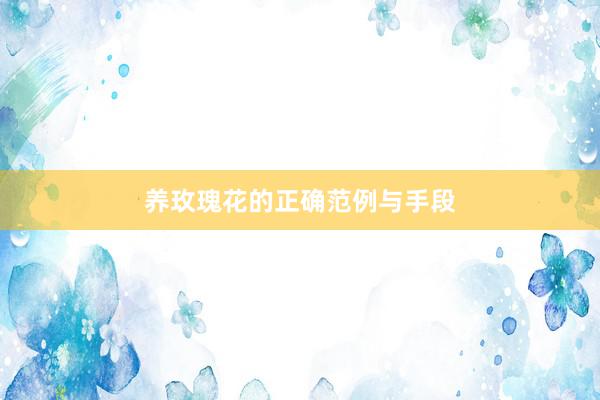 养玫瑰花的正确范例与手段
