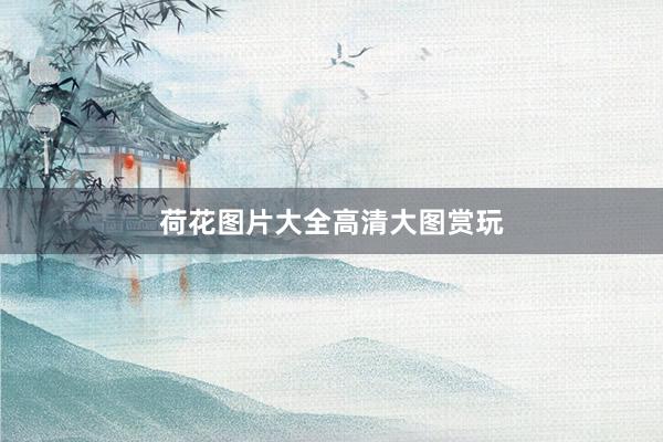荷花图片大全高清大图赏玩