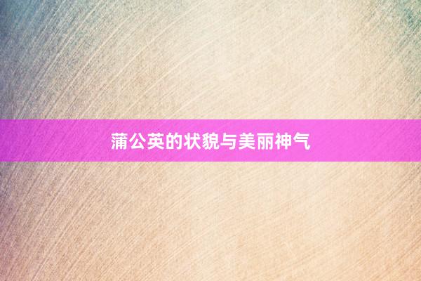 蒲公英的状貌与美丽神气