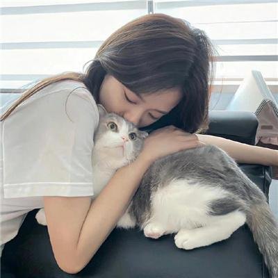 对不起,我磕到你了