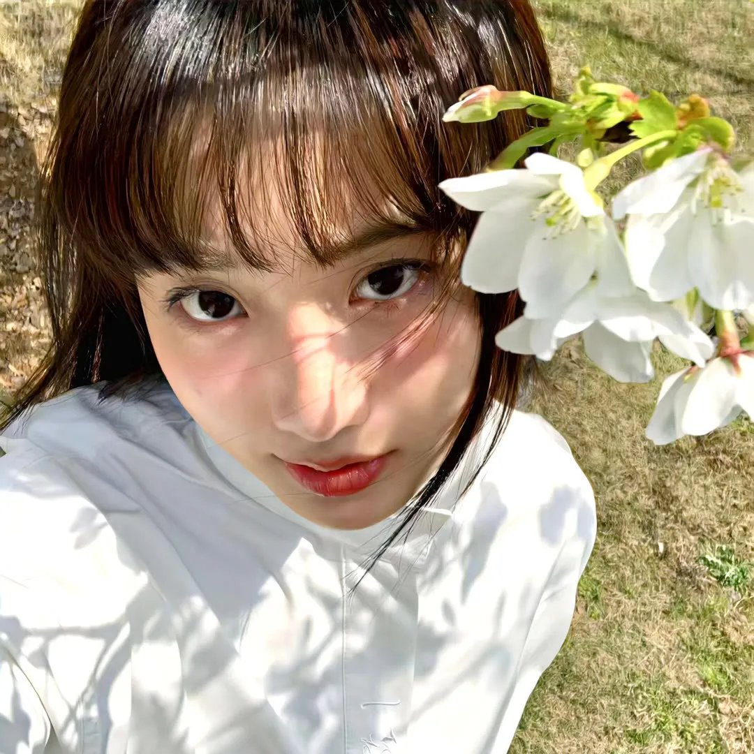金银花开